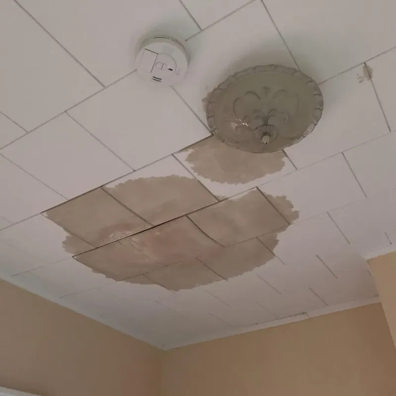 Ceiling Water Damage Repair in Bossier City, LA